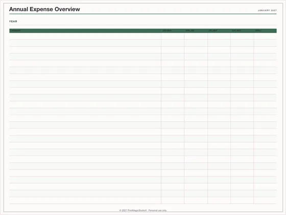 Annual Expense Overview: One-page planner template for GoodNotes, iPad and print