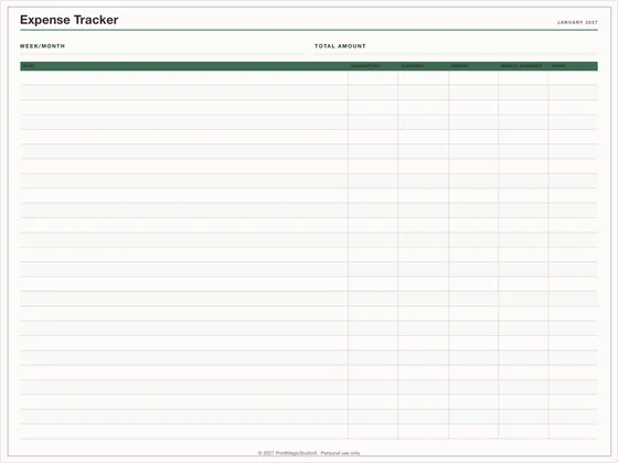 Expense Tracker: One-page planner template for GoodNotes, iPad and print